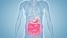 Morbus Crohn & Colitis ulcerosa