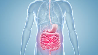 Morbus Crohn & Colitis ulcerosa