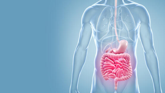 Morbus Crohn & Colitis ulcerosa