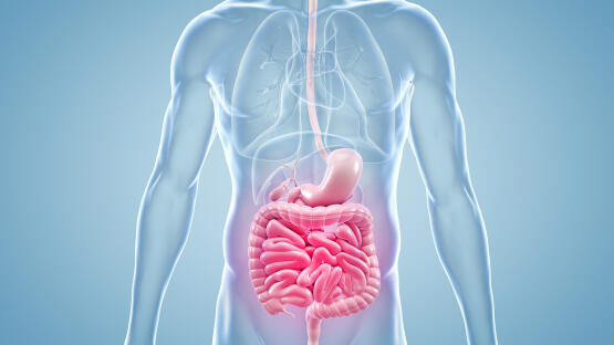 Morbus Crohn & Colitis ulcerosa